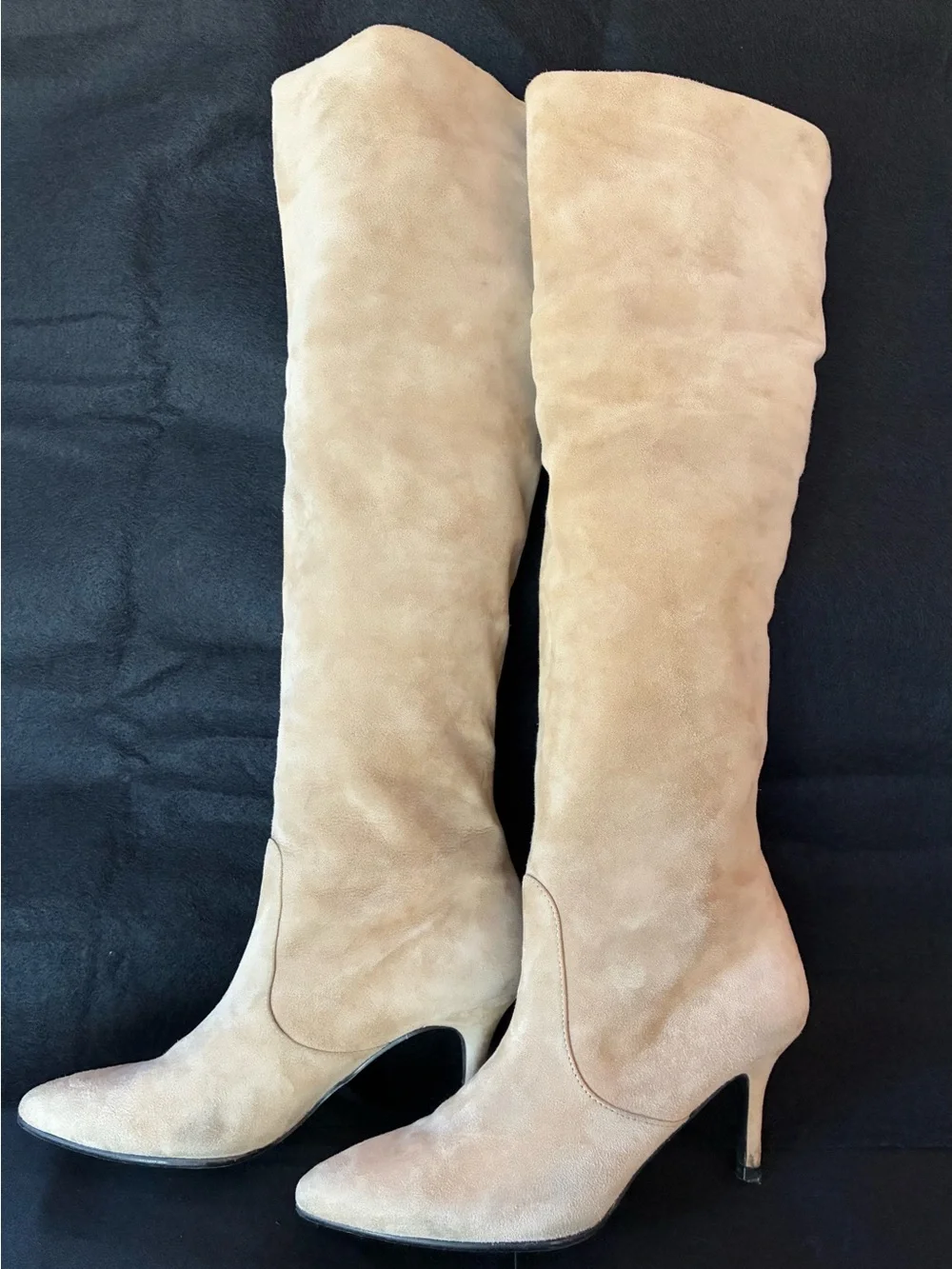 Stuart Weitzman Taupe Suede Over-the-Knee Pointed-Toe Boots
